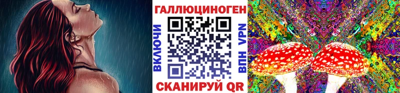 Псилоцибиновые грибы Psilocybine cubensis  blacksprut как зайти  Андреаполь 