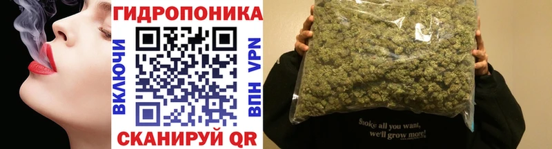 Бошки марихуана Bruce Banner  купить закладку  Андреаполь 